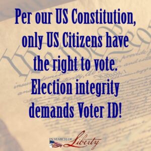 We the People - Voter ID per Constitution